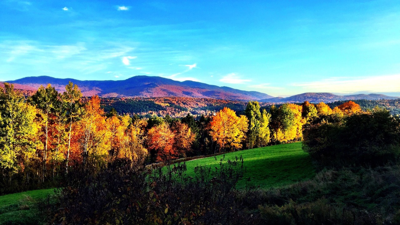 Photo of Outdoor in Stowe Area
