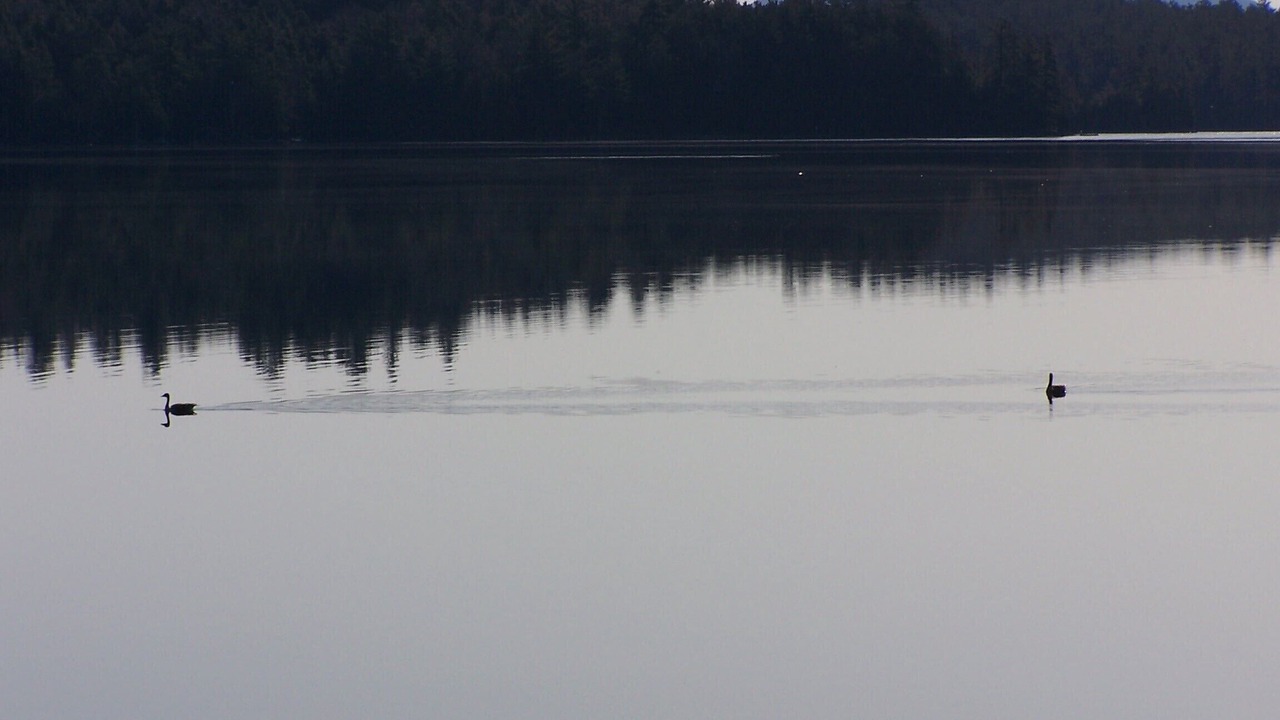 Photo of Others in Tupper Lake