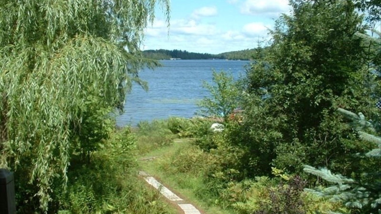 Photo of Others in Malone
