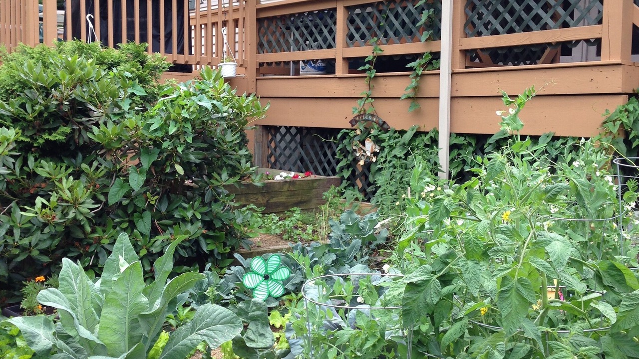 Photo of Outdoor in Diamond Point