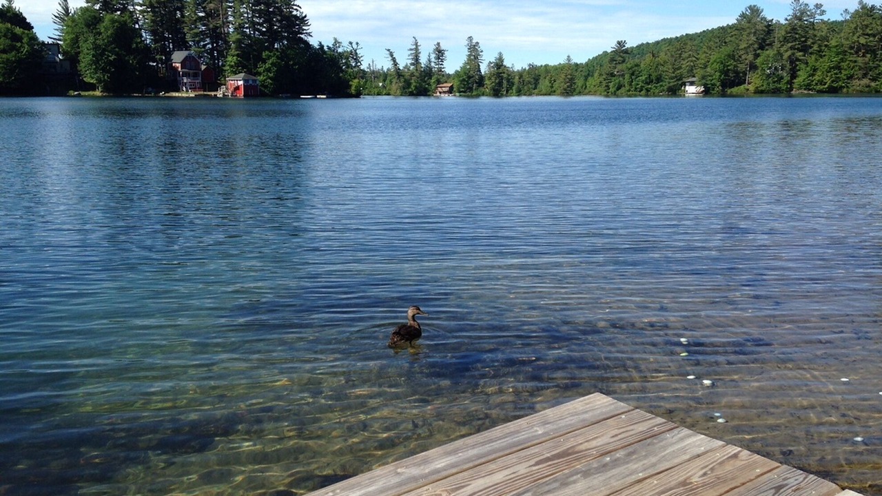 Photo of Outdoor in Star Lake