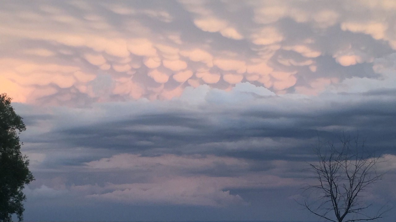 Photo of Others in Oconto