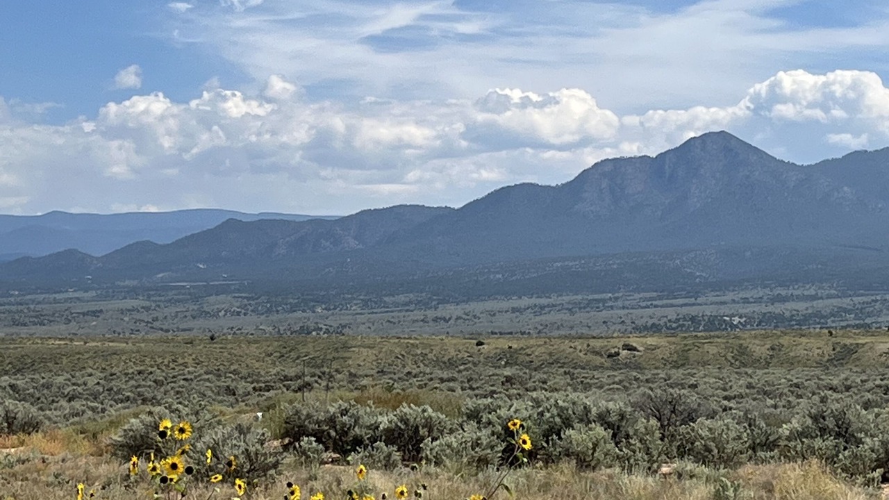 Photo of Outdoor in Carson