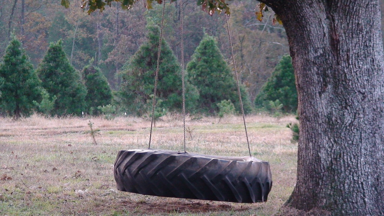 Photo of Others in Cecil