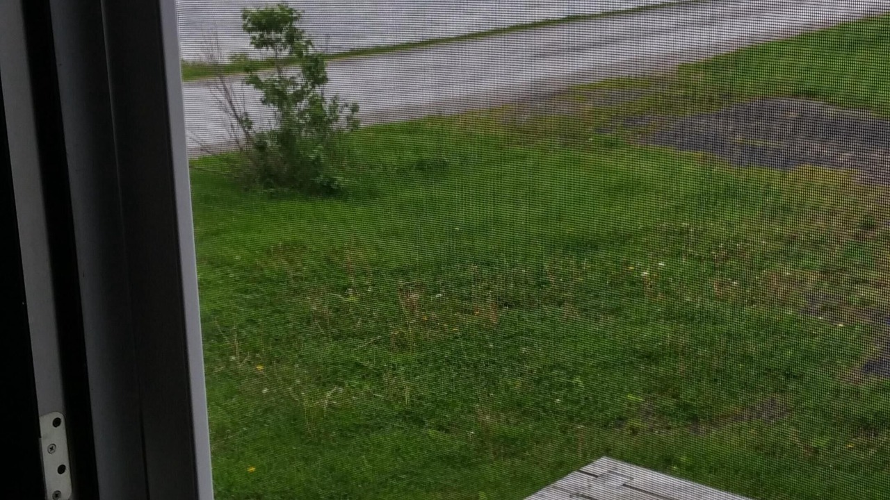 Photo of Others in Alburg