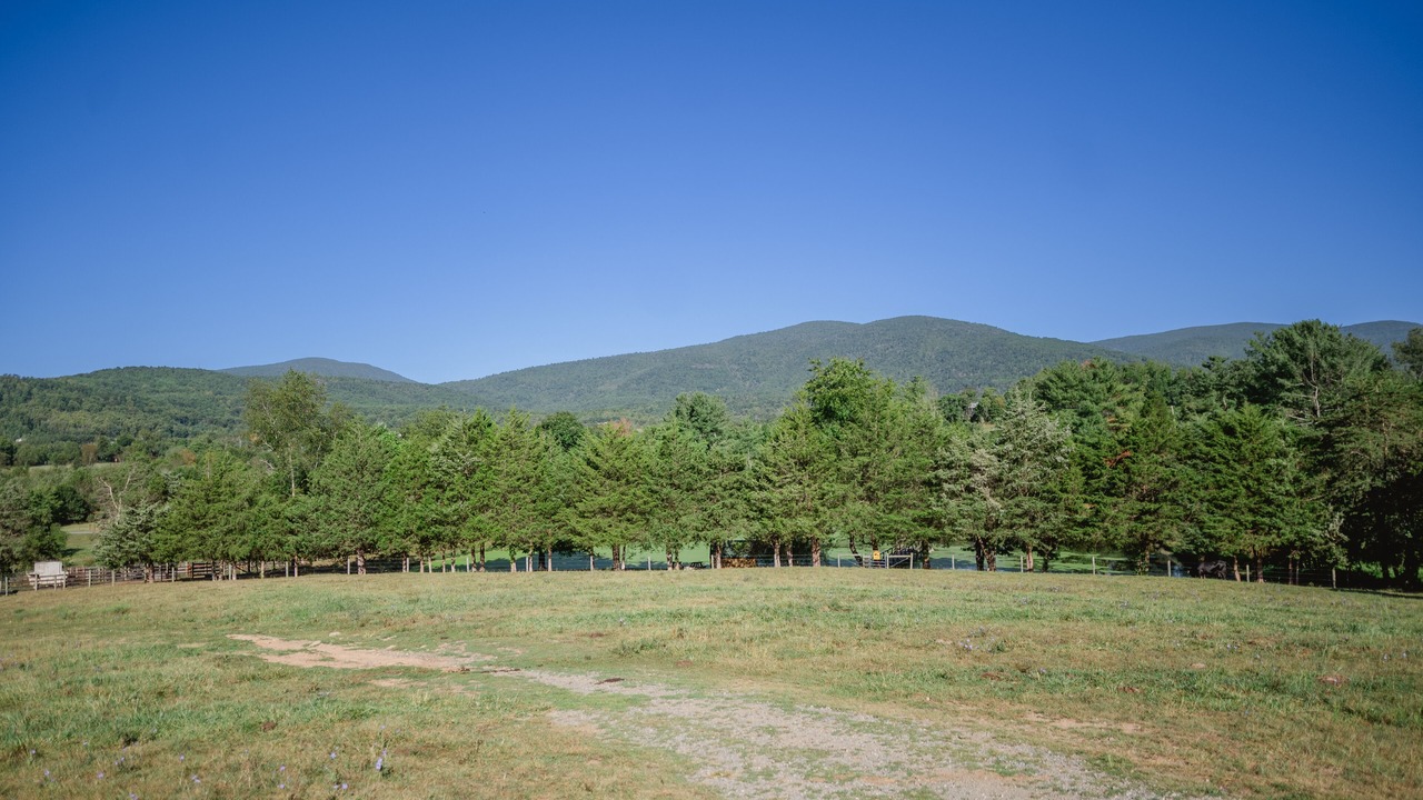 Photo of Outdoor in Stanardsville