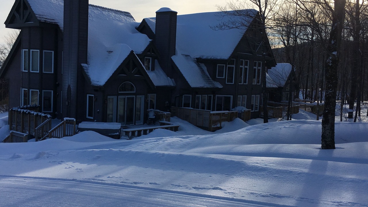 Photo of Others in North Troy