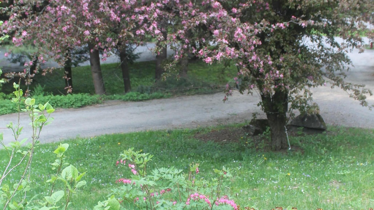Photo of Outdoor in West Brattleboro