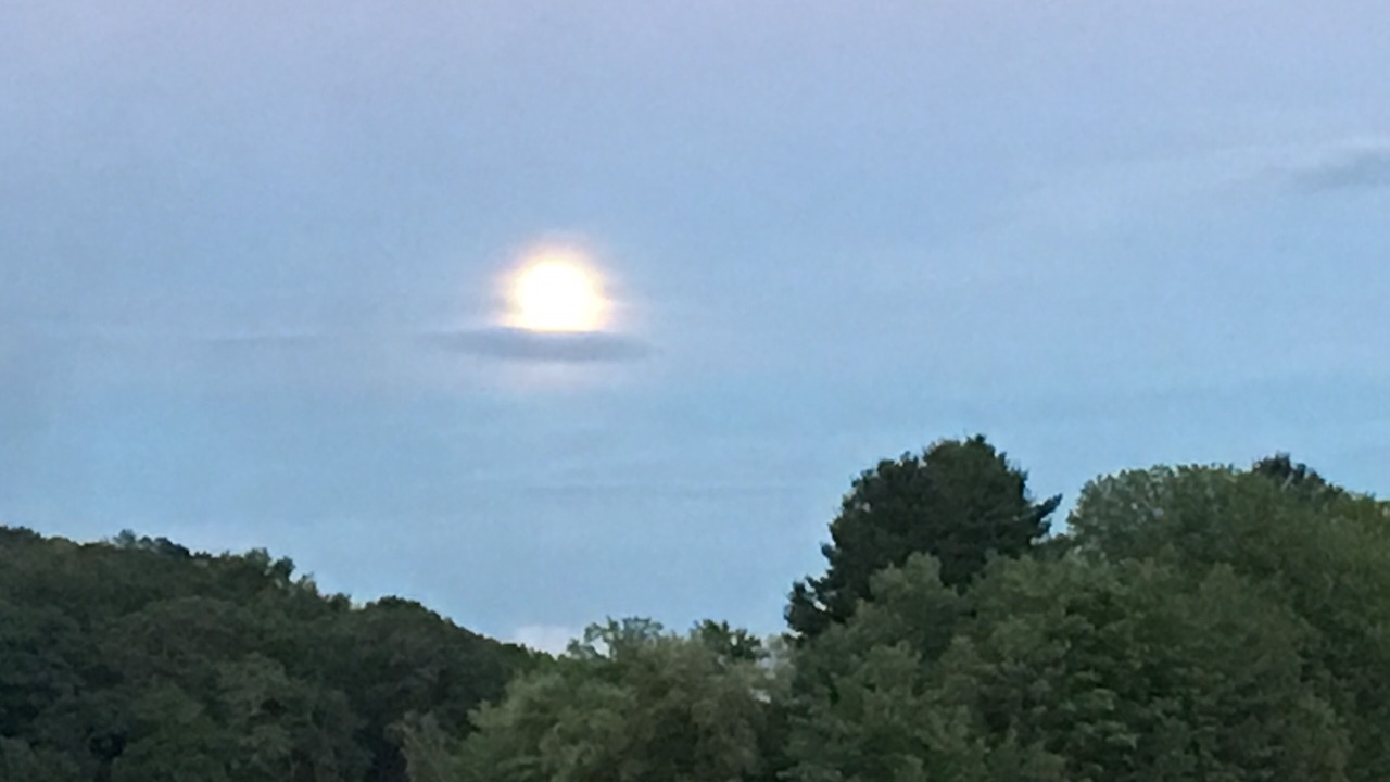 Photo of Others in Coventry Lake