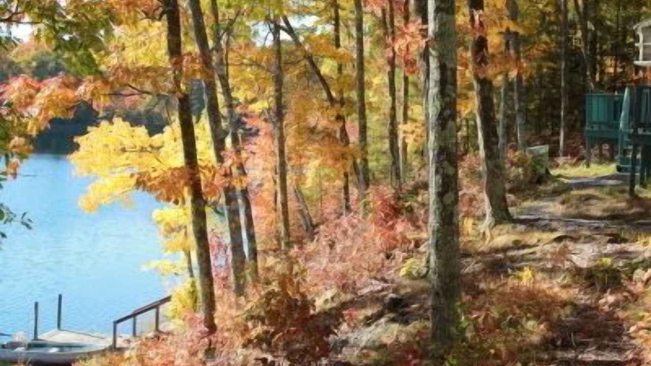Photo of Outdoor in Drummond