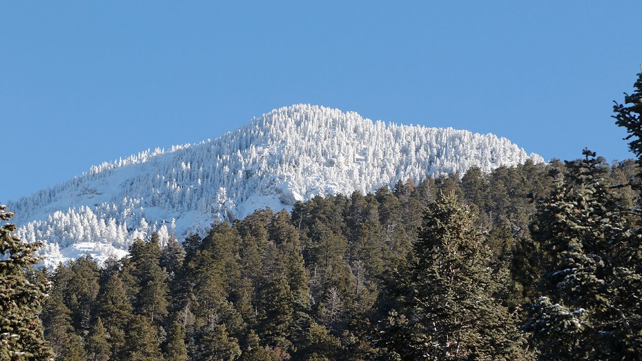 Photo of Others in Taos Ski Valley