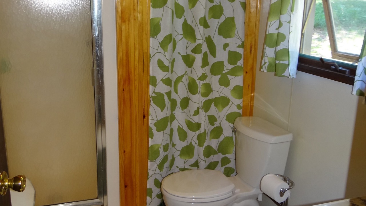 Photo of Bathroom in Minong