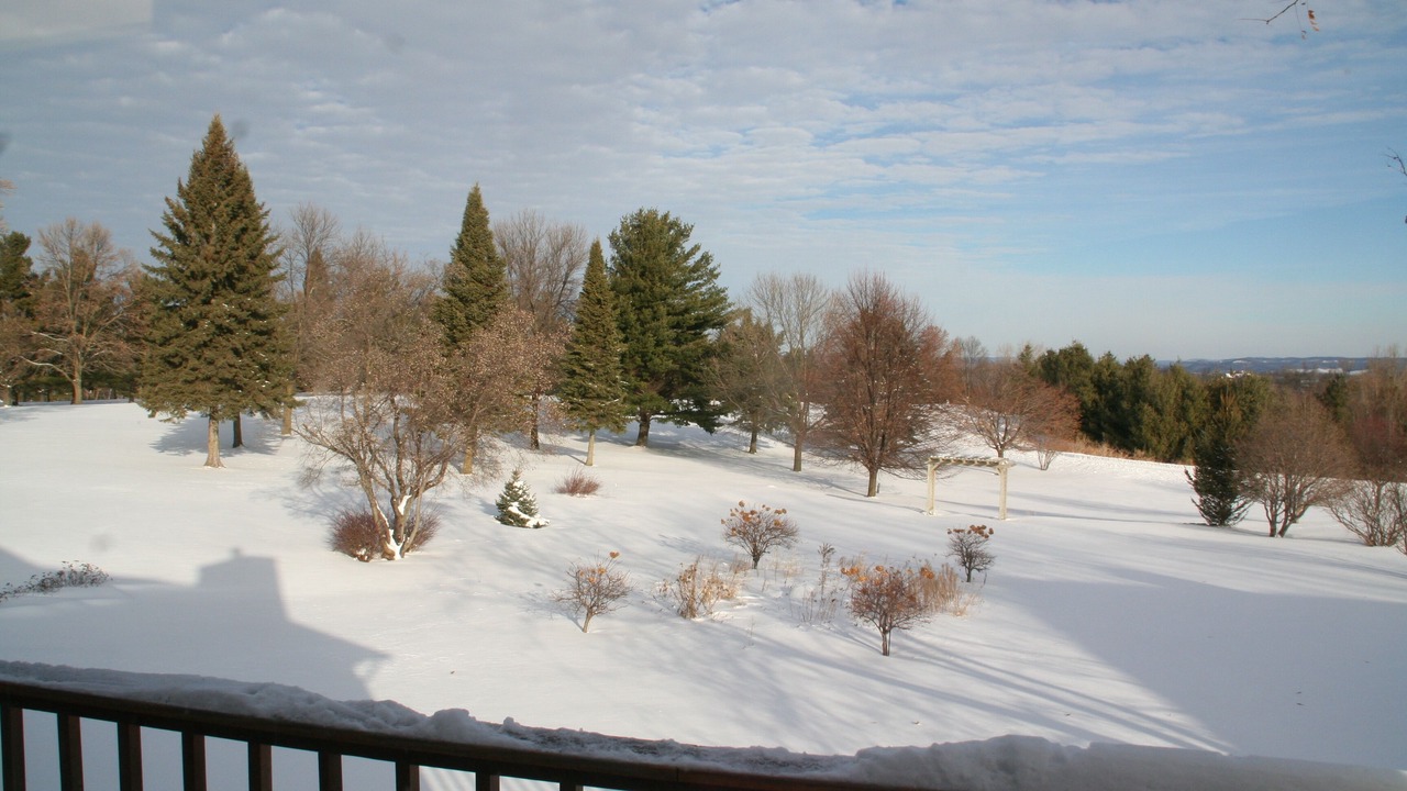Photo of Bedroom in Wabasha