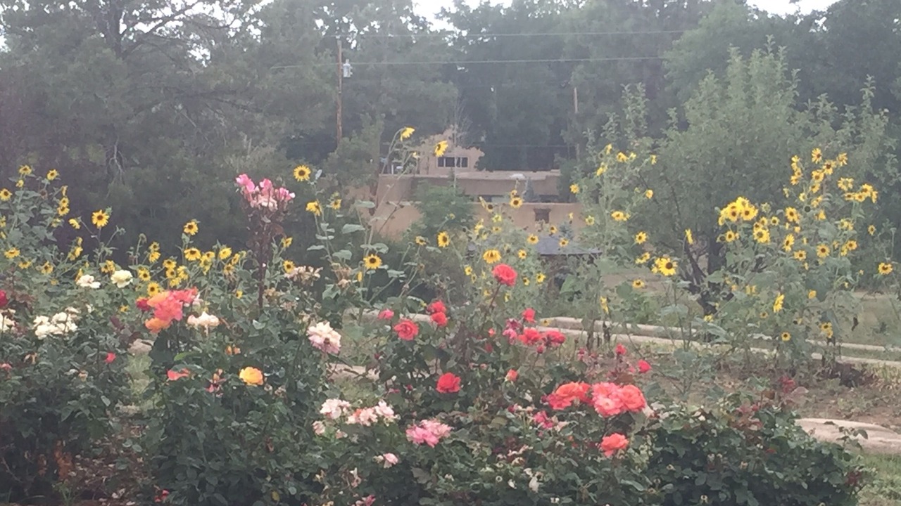 Photo of Outdoor in Taos