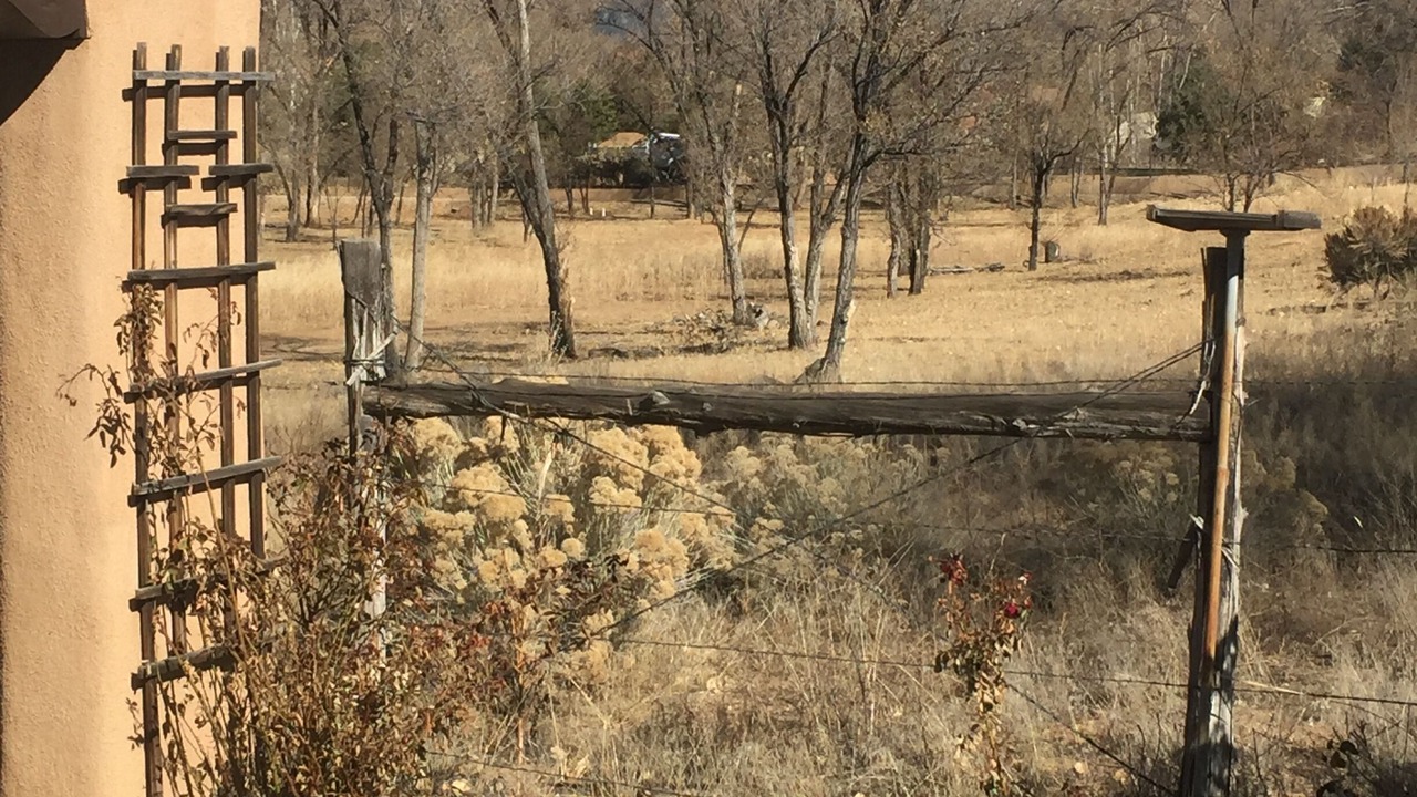 Photo of Others in Taos