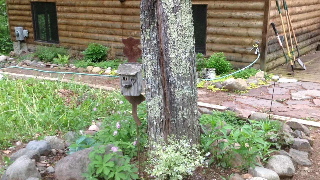 Photo of Outdoor in Trego