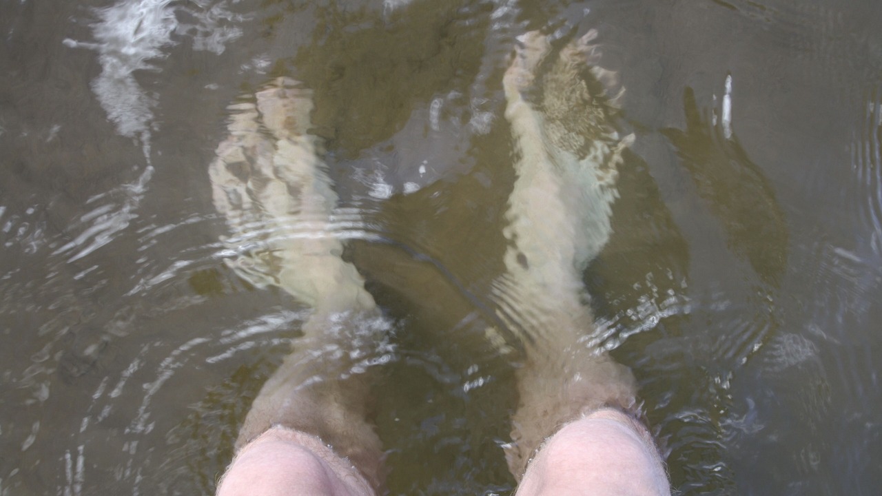 Photo of Others in Shell Lake