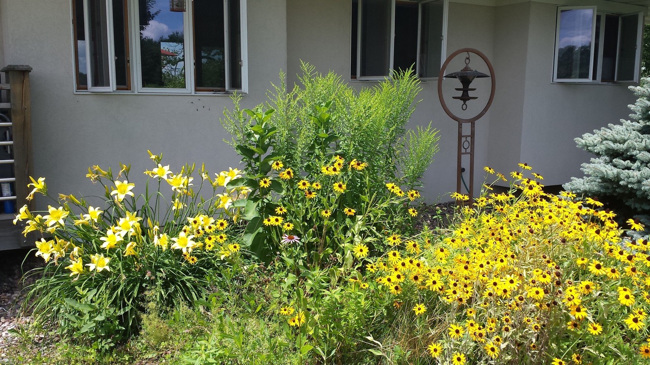 Photo of Outdoor in Maiden Rock