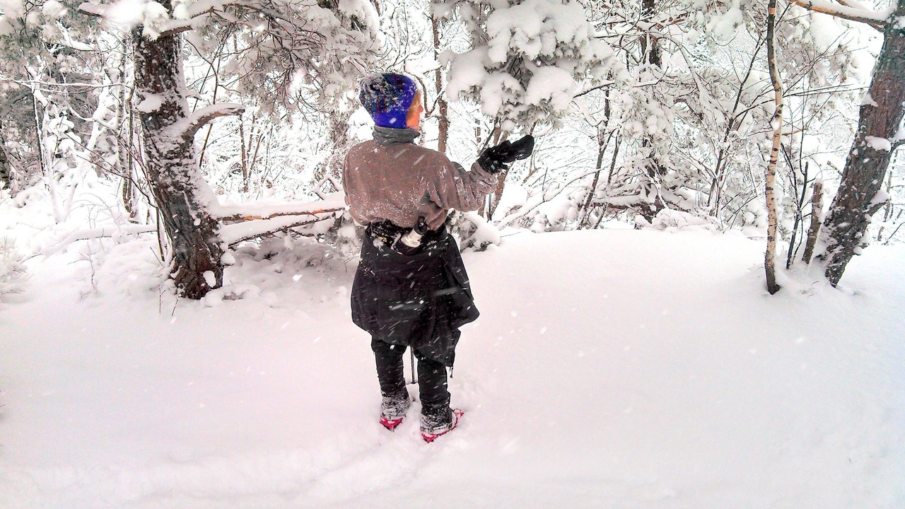 Photo of Others in Saranac Lake