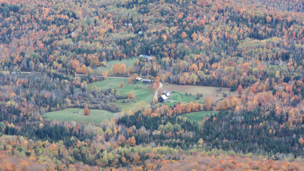 Photo of Others in East Burke