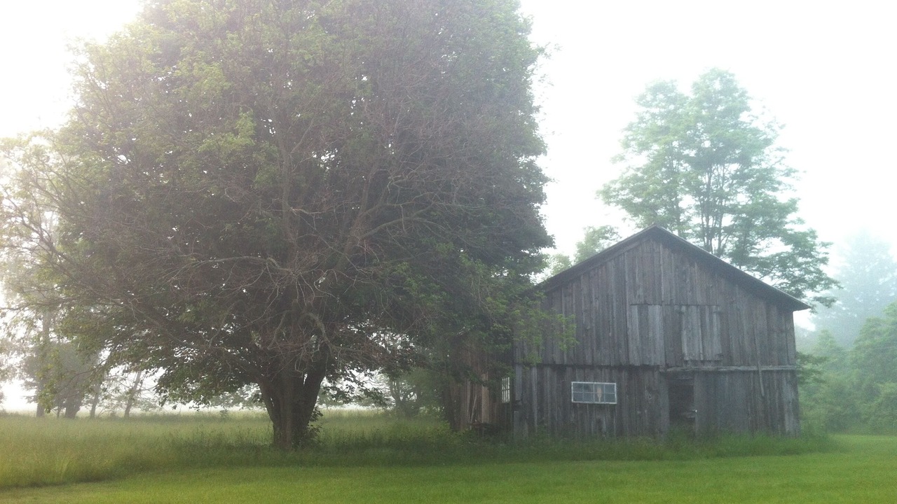 Photo of Others in Glenn