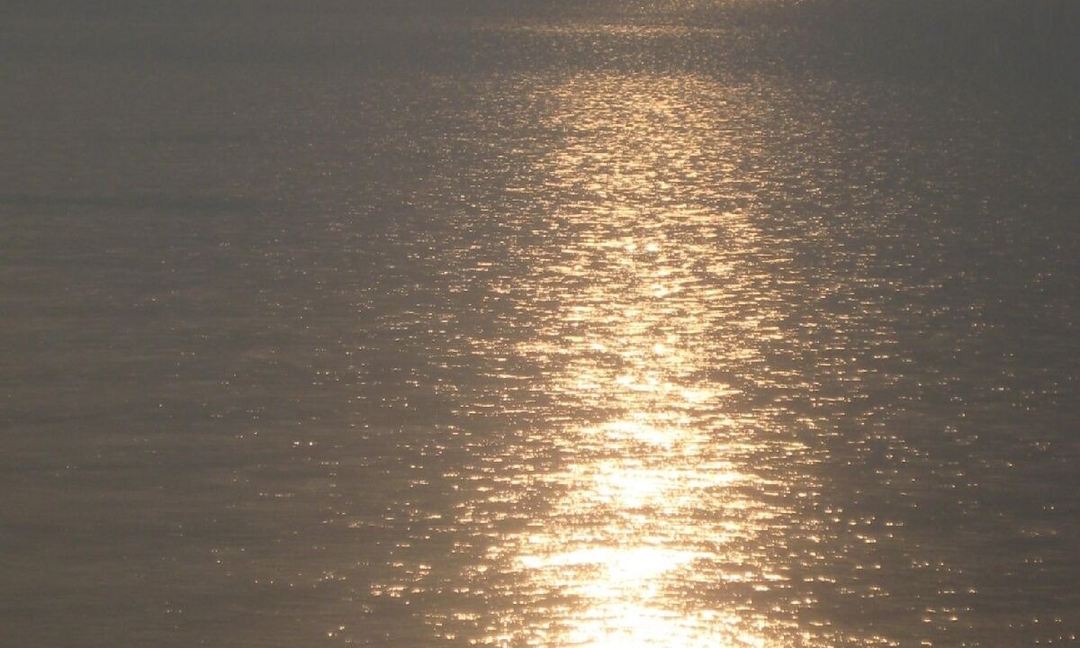 Photo of Others in Sandy Creek