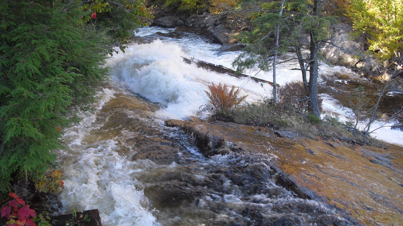 Photo of Others in Lowville