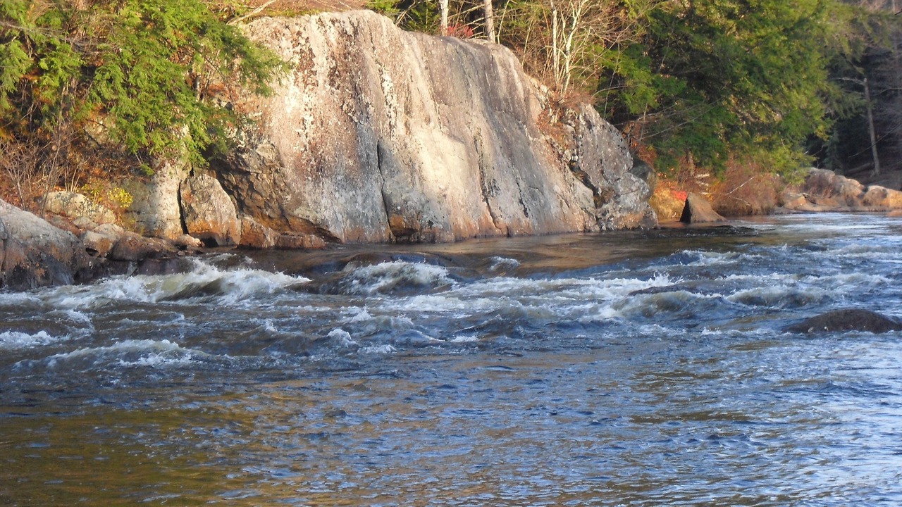 Photo of Others in Lowville