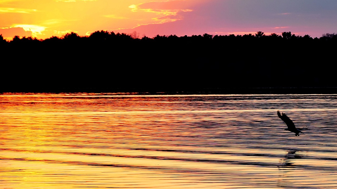 Photo of Outdoor in Nisswa