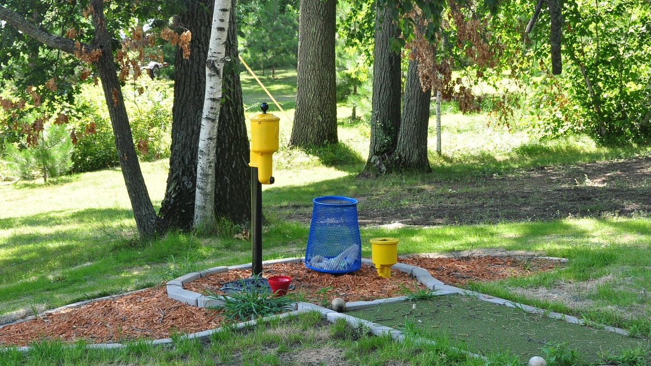 Photo of Others in Nisswa