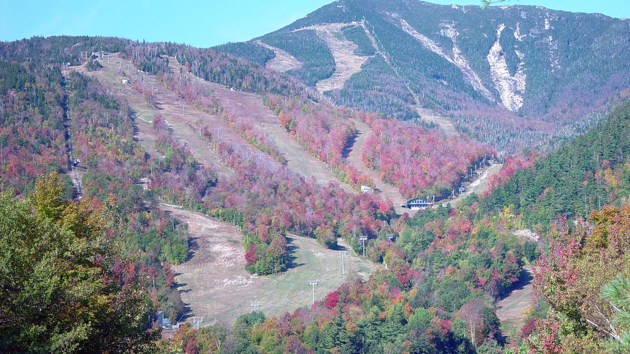 Photo of Others in Saranac