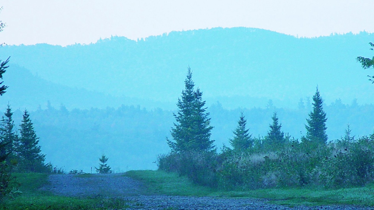 Photo of Others in Saranac