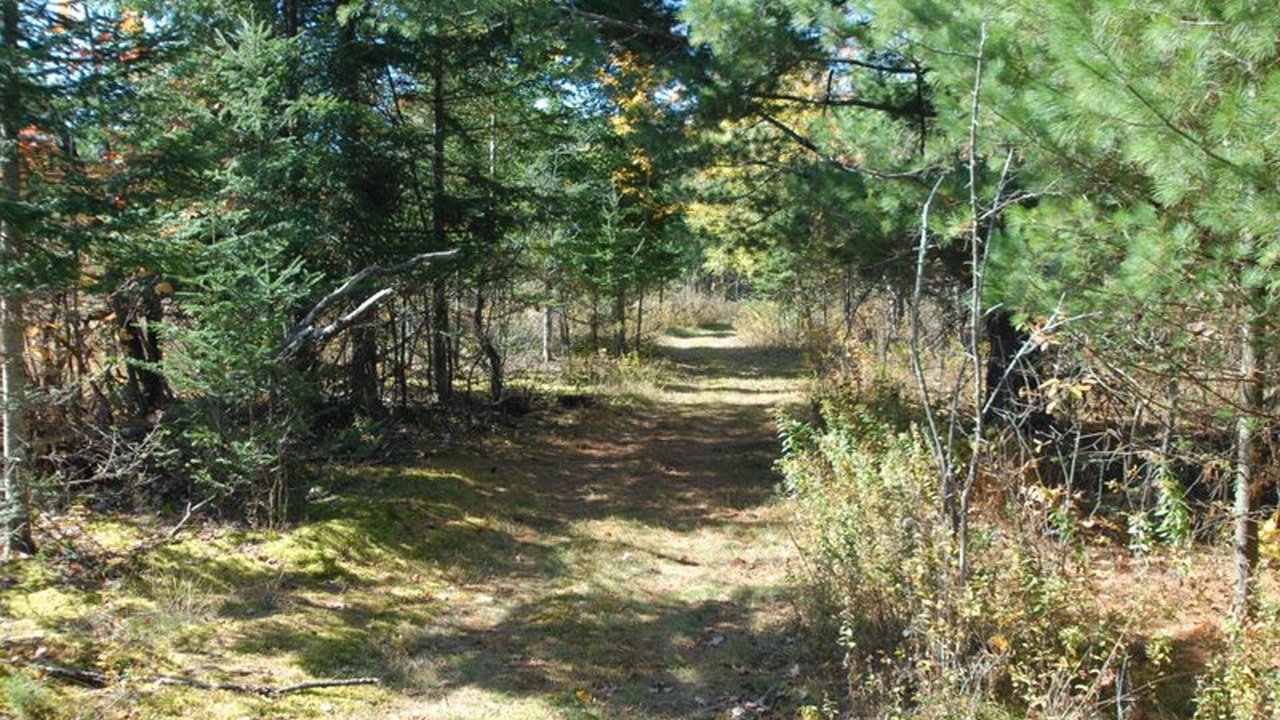 Photo of Others in Saranac