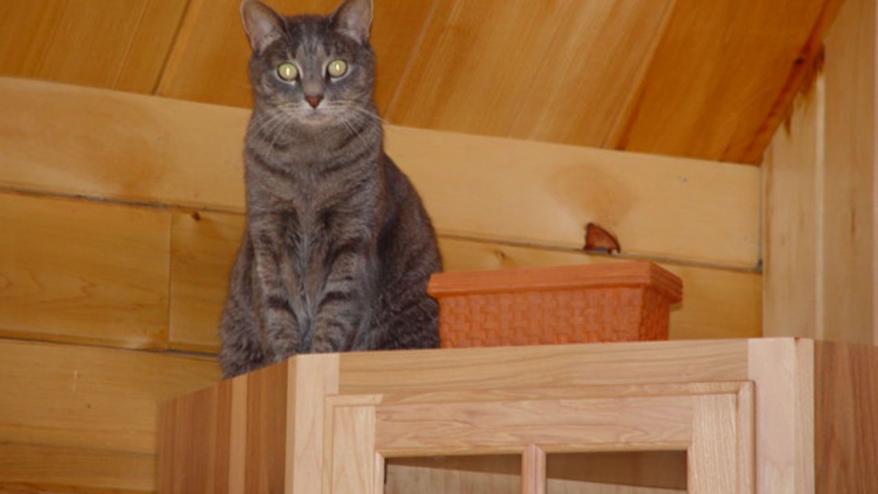 Photo of Others in Saranac