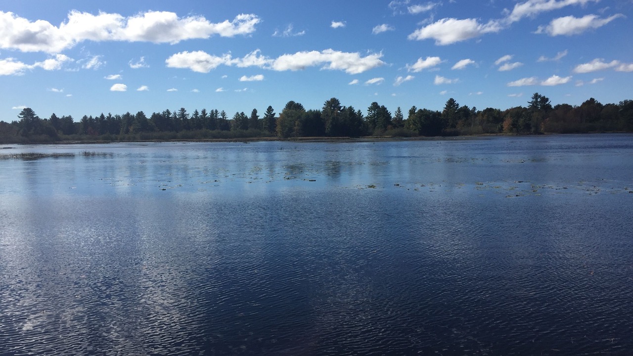 Photo of Outdoor in Willard