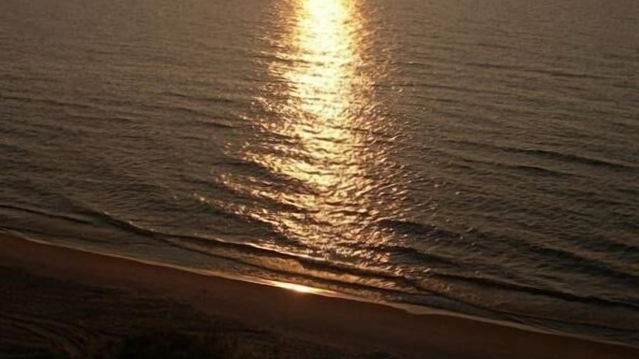 Photo of Others in Lake Michigan Beach