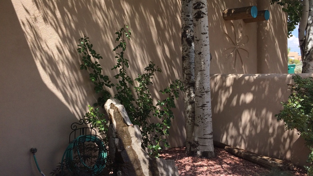 Photo of Outdoor in El Prado