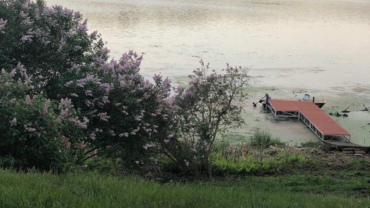 Photo of Outdoor in Abrams