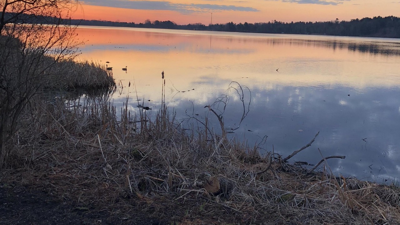Photo of Outdoor in Abrams