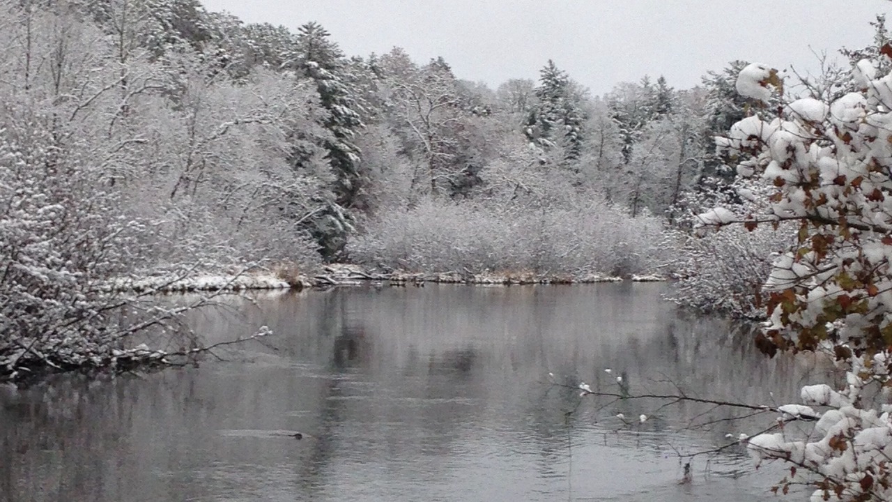 Photo of Others in Webster