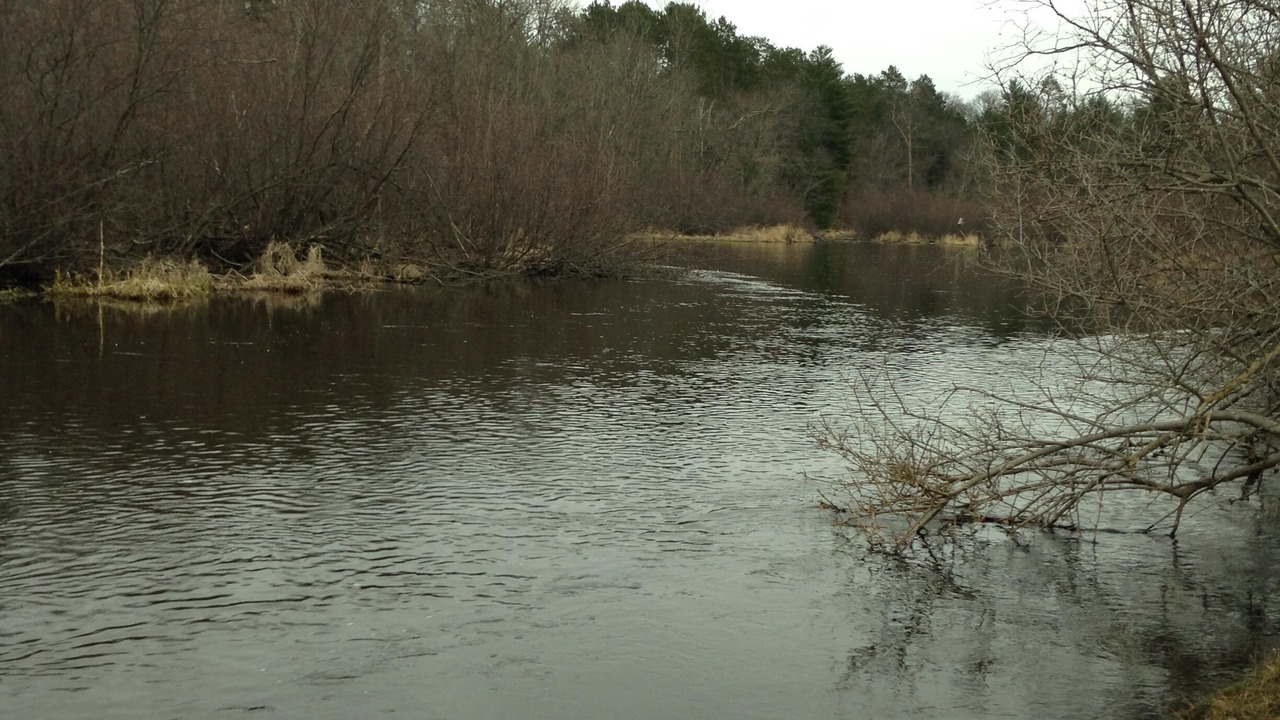 Photo of Others in Webster