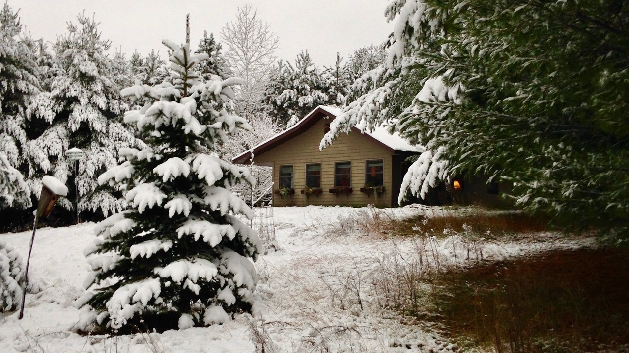 Photo of Others in Webster