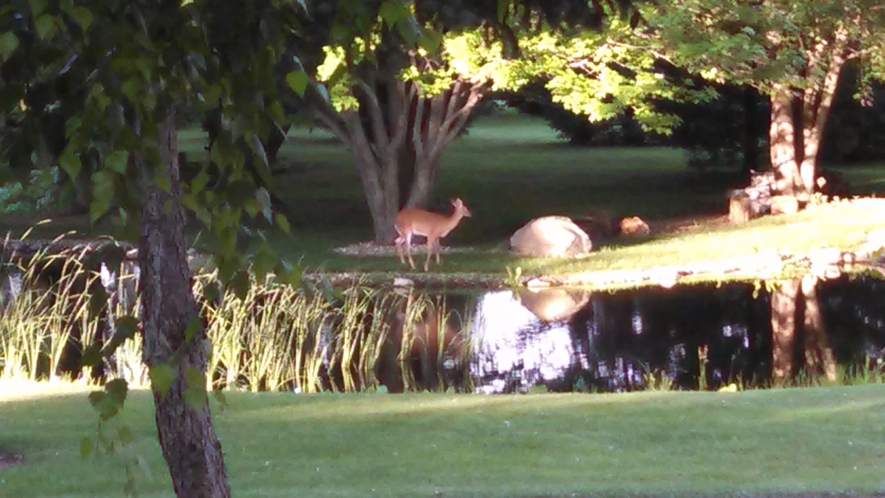 Photo of Others in Stevensville