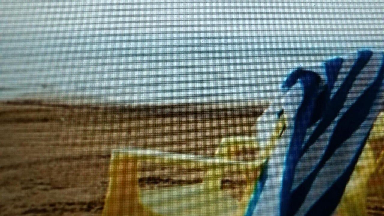 Photo of Others in Traverse City