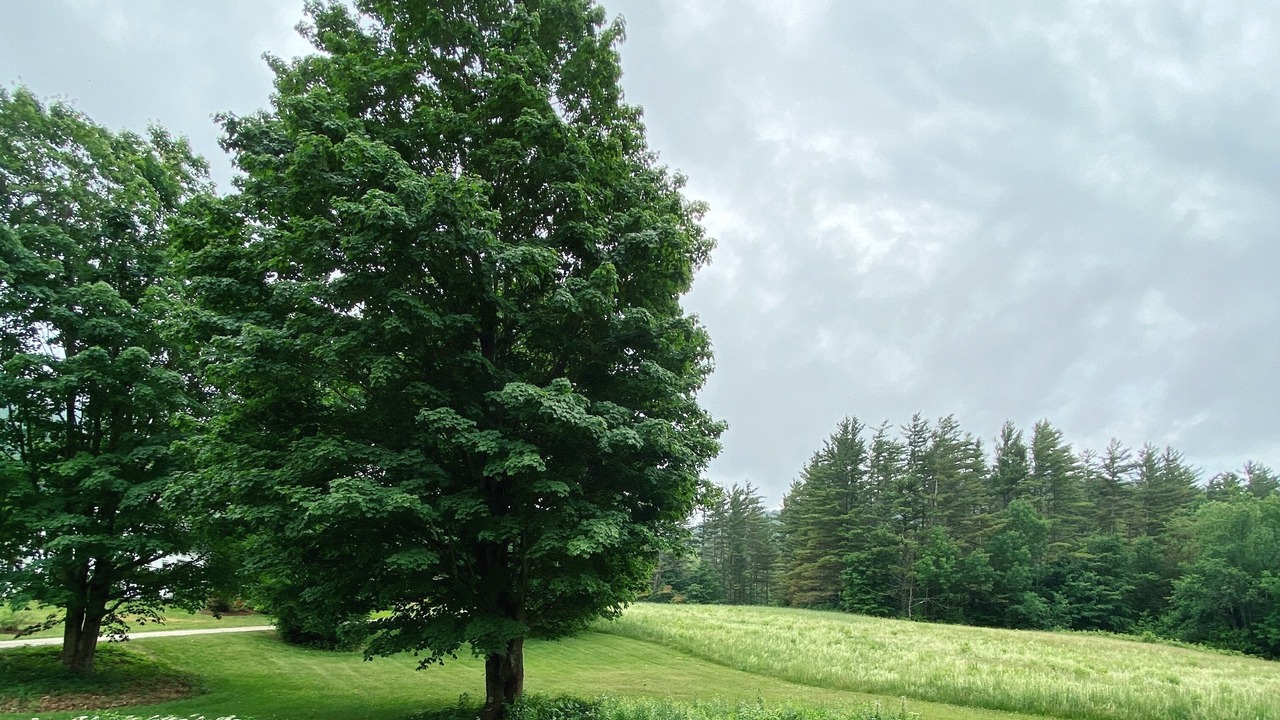 Photo of Outdoor in Goshen