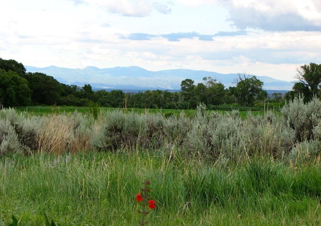 Photo of Outdoor in El Rito