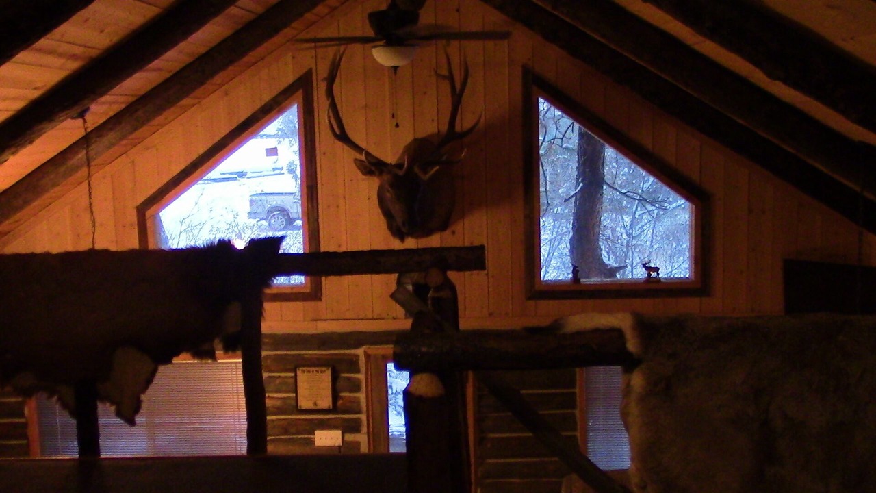Photo of Others in Questa