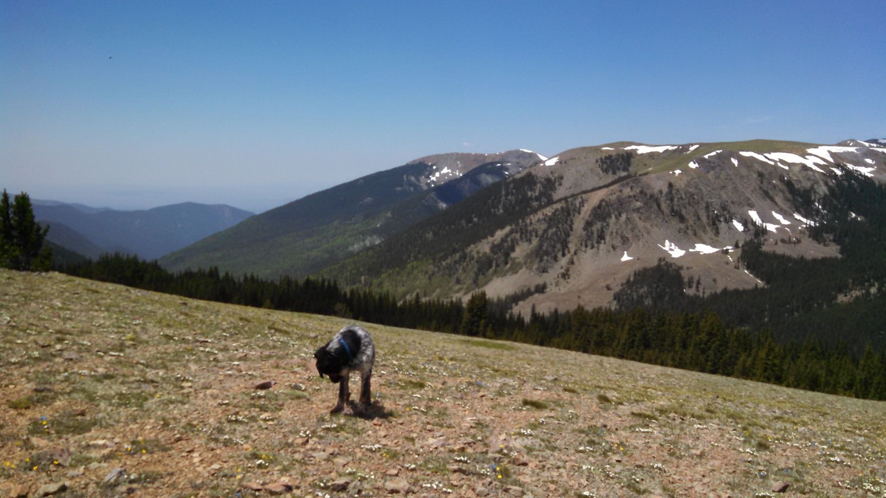 Photo of Others in Questa