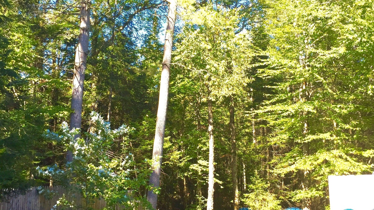 Photo of Others in Meacham