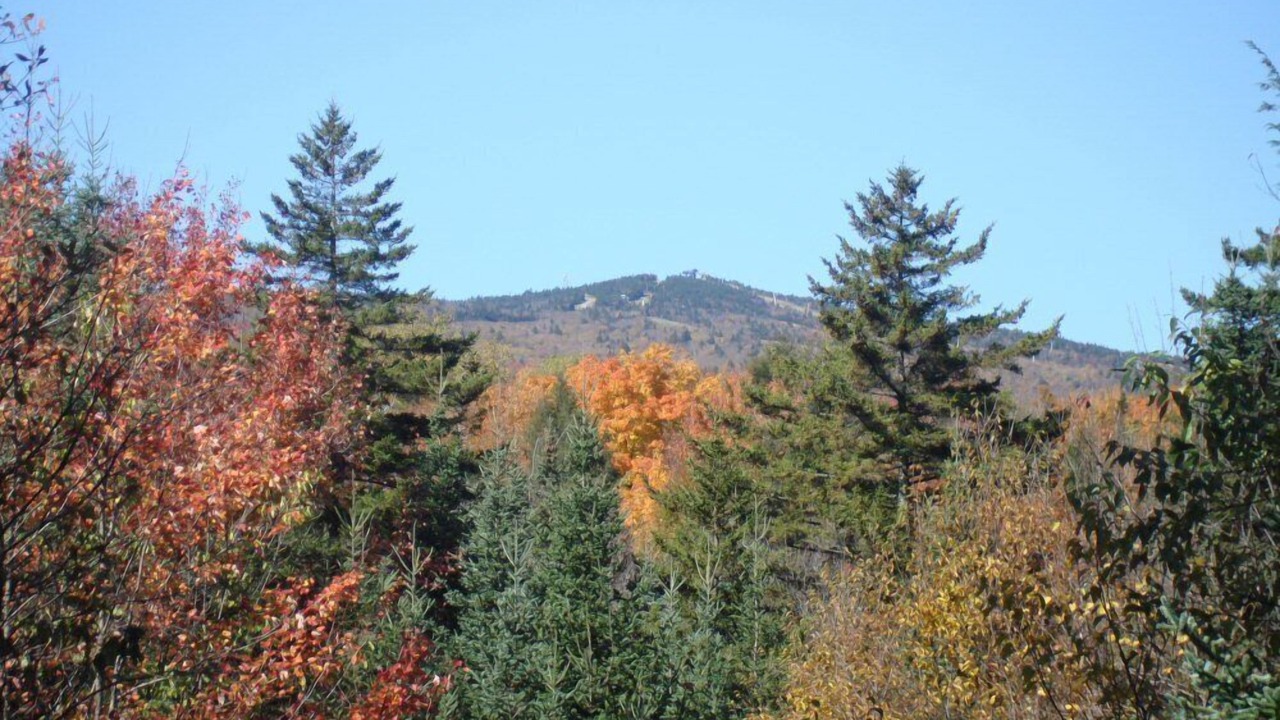 Photo of Others in West Dover